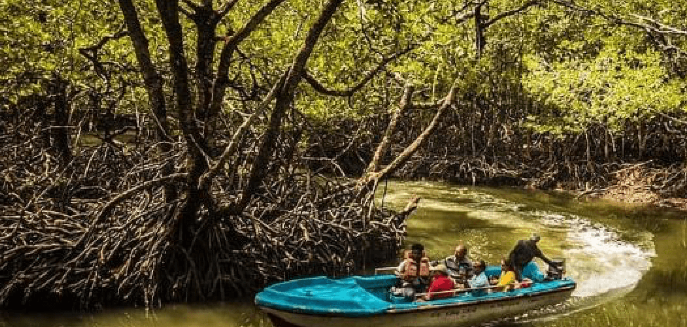 image of near by attraction